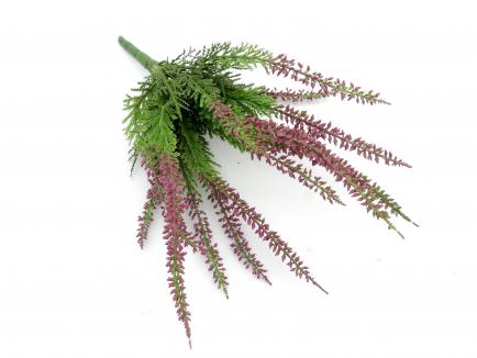 D.G. Viržiai violetiniai (12/144)