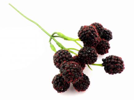 Dirbtinės gervuogės juodos