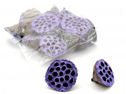 Lotus large nat + Purple glitter