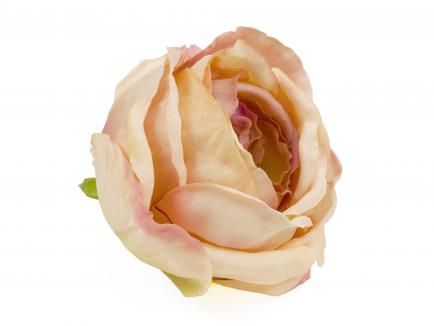 Rose heads