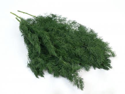 Stabilizuota žaluma