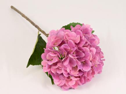 Hortenzija MAUVE