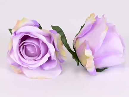Rose heads PK.CR