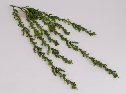 Kabanti žaluma - sukulentas (soft rubber) 