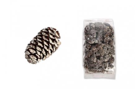 Kedro kankorėžiiukai