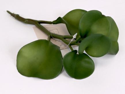 Dirbtinė žaluma (soft rubber) 