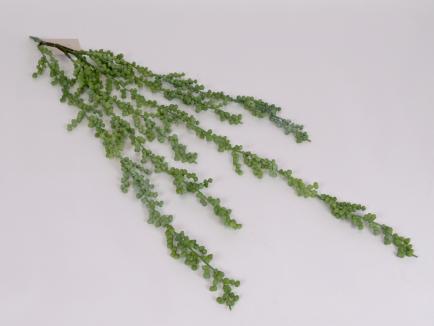 Kabanti žaluma - sukulentas (soft rubber) 