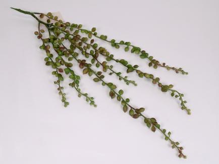 Kabanti žaluma - sukulentas (soft rubber) 