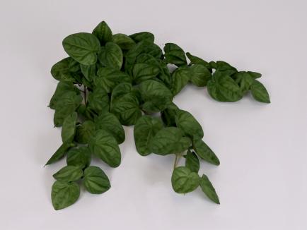 Kabanti žaluma (soft rubber) 