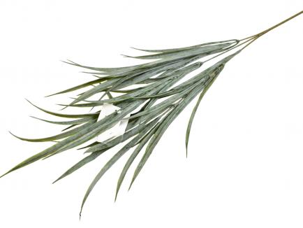 Dirbtinės žalumos krūmelis GR