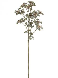 Uogų šakelė CR BRN