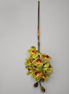 Orchidėja lateksinė