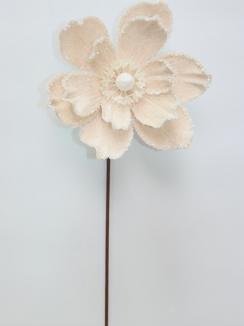 Kalėdinė magnolija VELVET Champagne