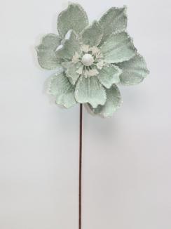 Kalėdinė magnolija VELVET Sage Sgeen