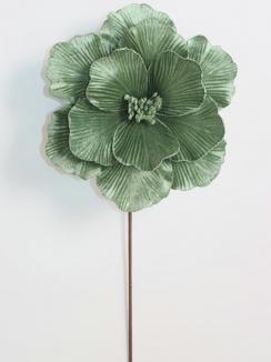 Kalėdinė puansetija Sage Green