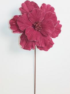 Kalėdinė puansetija Antique Pink