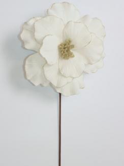 Kalėdinė puansetija Ivory