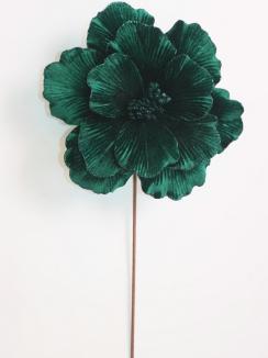 Kalėdinė puansetija Emerald