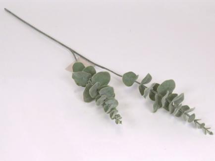 Dirbtinės žaluma - eukaliptas