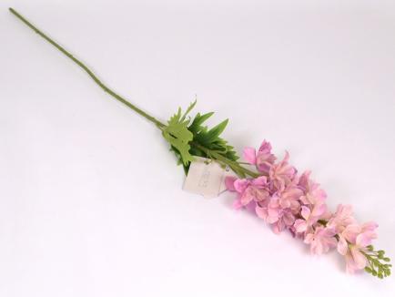 Delfiniumo šaka DKPK