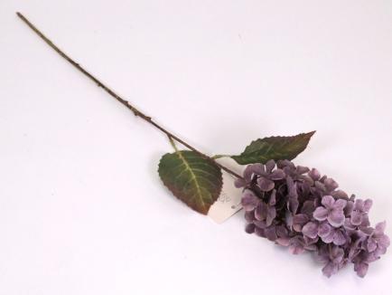 Hortenzijos šakelė