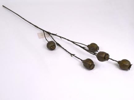 Dirbtinė šaka - aguonos vaisiai