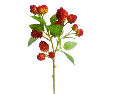 Dirbtinė avietės šakelė