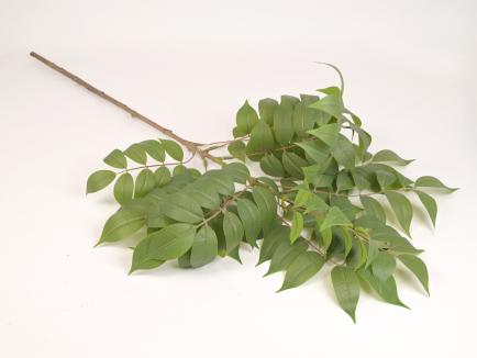 Dirbtinė žalumos šaka