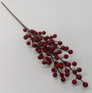 Raudonų uogų šaka