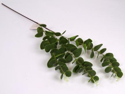 Dirbtinė žalumos šaka - eukaliptas