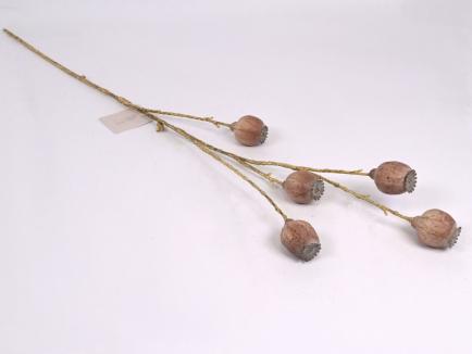 Dirbtinė šaka - aguonos vaisiai