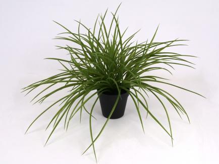 Dirbtinė žolė-smilga vazone