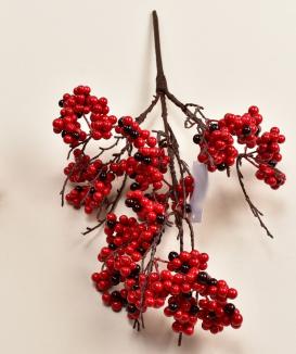 Šaka su raudonomis uogom