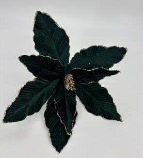 Kalėdinė puansetija VELVET 