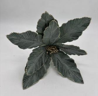 Kalėdinė puansetija VELVET 