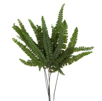Stabilizuotas papartis 